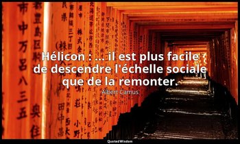 Hélicon : ... il est plus facile de descendre l'échelle sociale que de la remont — Albert Camus