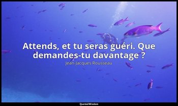 Attends, et tu seras guéri. Que demandes-tu davantage ? — Jean-Jacques Rousseau