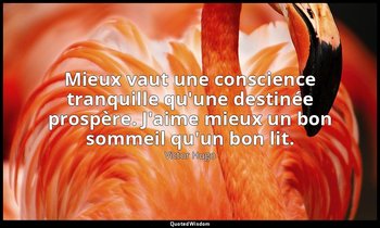 Mieux vaut une conscience tranquille qu'une destinée prospère. J'aime mieux un b — Victor Hugo