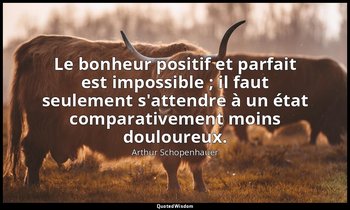 Le bonheur positif et parfait est impossible ; il faut seulement s'attendre à un — Arthur Schopenhauer