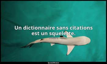 Un dictionnaire sans citations est un squelette. — Voltaire
