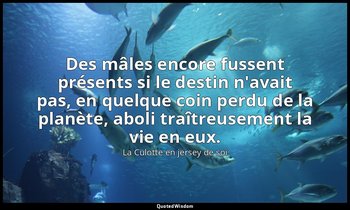 Des mâles encore fussent présents si le destin n'avait pas, en quelque coin perd — La Culotte en jersey de soi