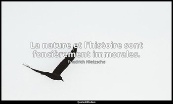 La nature et l'histoire sont foncièrement immorales. — Friedrich Nietzsche