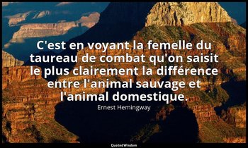 C'est en voyant la femelle du taureau de combat qu'on saisit le plus clairement  — Ernest Hemingway
