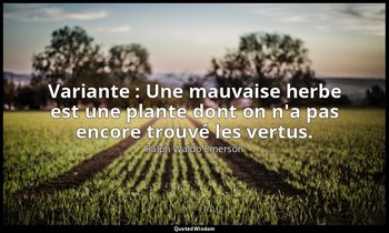 Variante : Une mauvaise herbe est une plante dont on n'a pas encore trouvé les v — Ralph Waldo Emerson