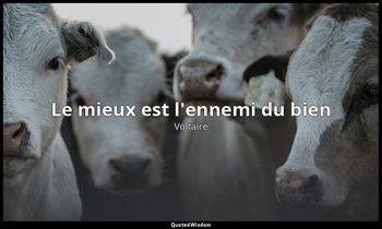 Le mieux est l'ennemi du bien — Voltaire