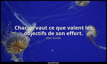 Chacun vaut ce que valent les objectifs de son effort. — Marc Aurèle
