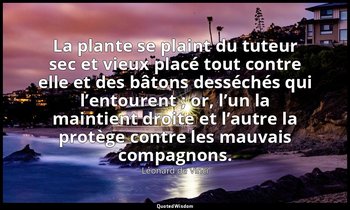 La plante se plaint du tuteur sec et vieux placé tout contre elle et des bâtons  — Léonard de Vinci