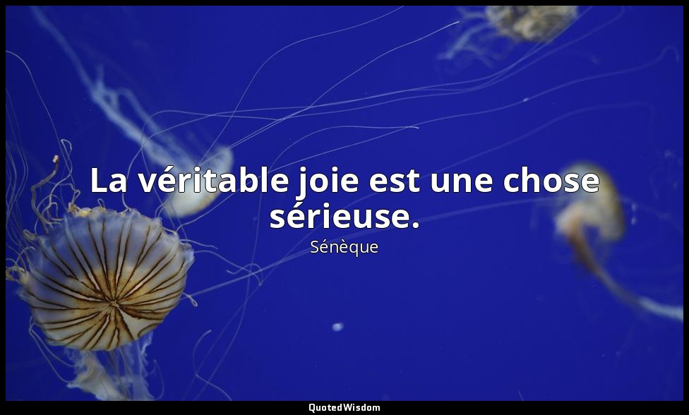 La véritable joie est une chose sérieuse. — Sénèque