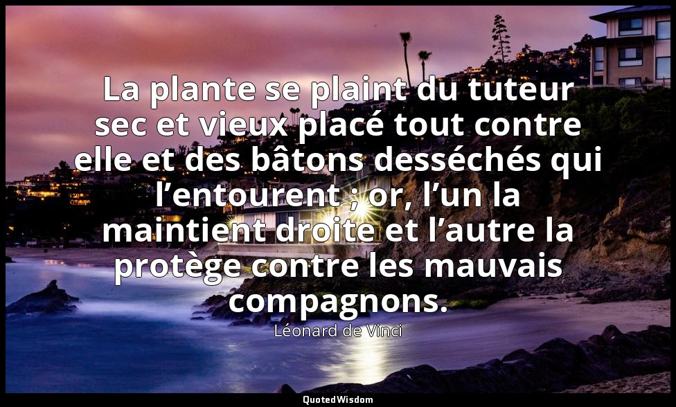 La plante se plaint du tuteur sec et vieux placé tout contre elle et des bâtons  — Léonard de Vinci