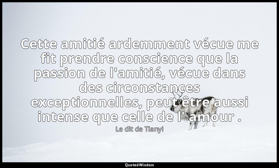 Cette amitié ardemment vécue me fit prendre conscience que la passion de l'amiti — Le dit de Tianyi