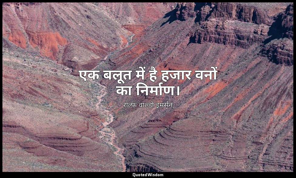 एक बलूत में है हजार वनों का निर्माण। — राल्फ वाल्डो इमर्सन