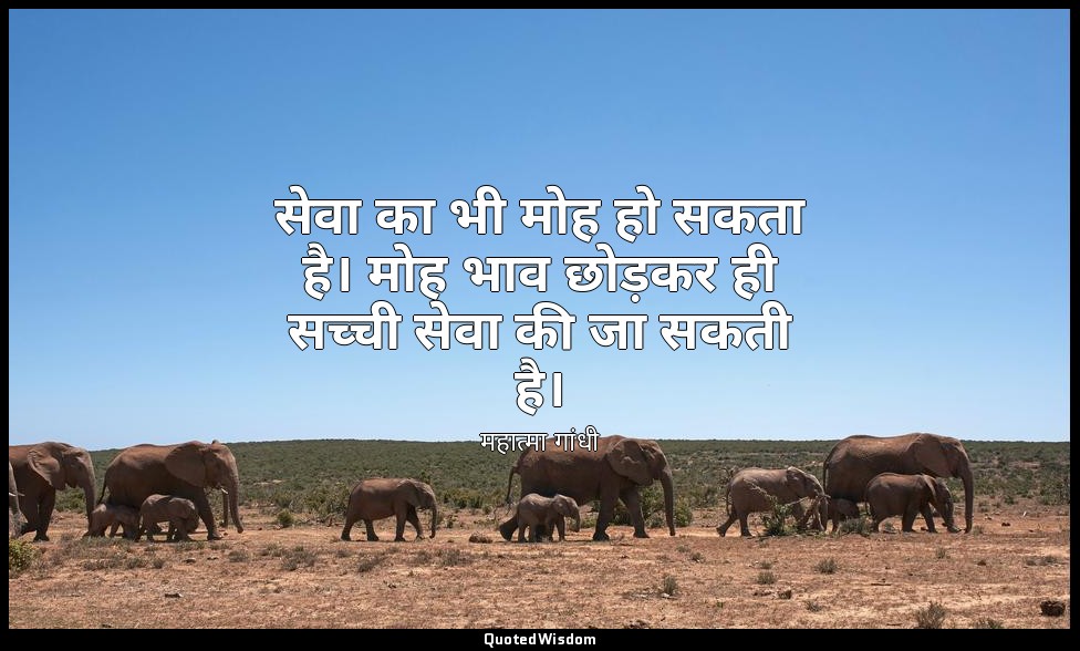 सेवा का भी मोह हो सकता है। मोह भाव छोड़कर ही सच्ची सेवा की जा सकती है। — महात्मा गांधी