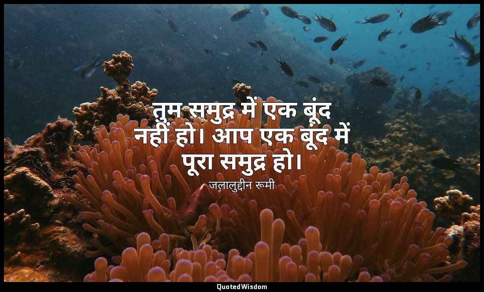 तुम समुद्र में एक बूंद नहीं हो। आप एक बूंद में पूरा समुद्र हो। — जलालुद्दीन रूमी