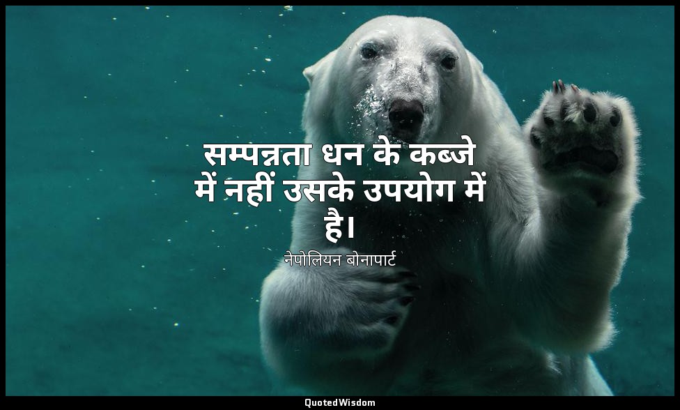 सम्पन्नता धन के कब्जे में नहीं उसके उपयोग में है। — नेपोलियन बोनापार्ट