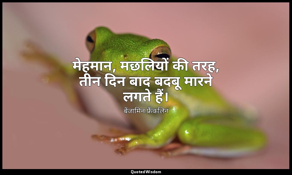 मेहमान, मछलियों की तरह, तीन दिन बाद बदबू मारने लगते हैं। — बेंजामिन फ्रैंकलिन