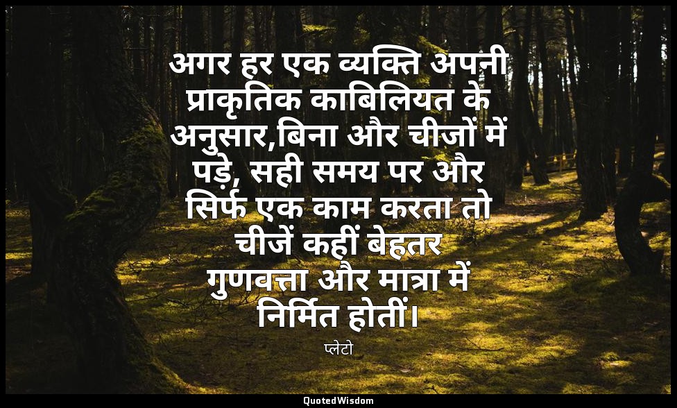 अगर हर एक व्यक्ति अपनी प्राकृतिक काबिलियत के अनुसार,बिना और चीजों में पड़े, सही  — प्लेटो