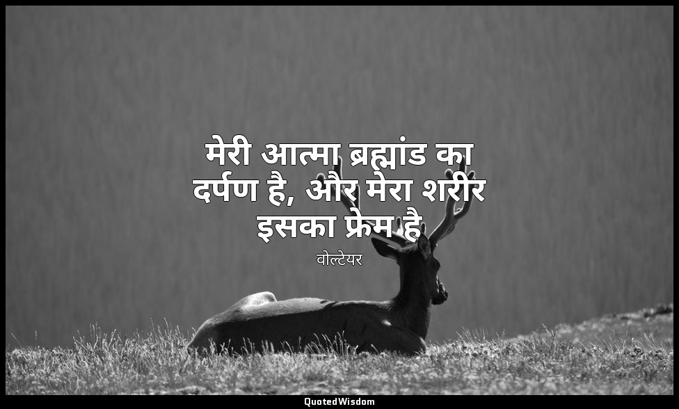 मेरी आत्मा ब्रह्मांड का दर्पण है, और मेरा शरीर इसका फ्रेम है — वोल्टेयर