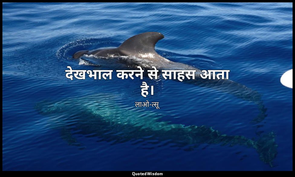 देखभाल करने से साहस आता है। — लाओ-त्सू
