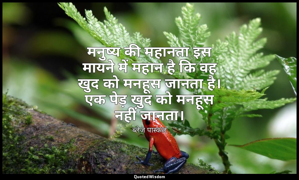 मनुष्य की महानता इस मायने में महान है कि वह खुद को मनहूस जानता है। एक पेड़ खुद क — ब्लेज़ पास्कल