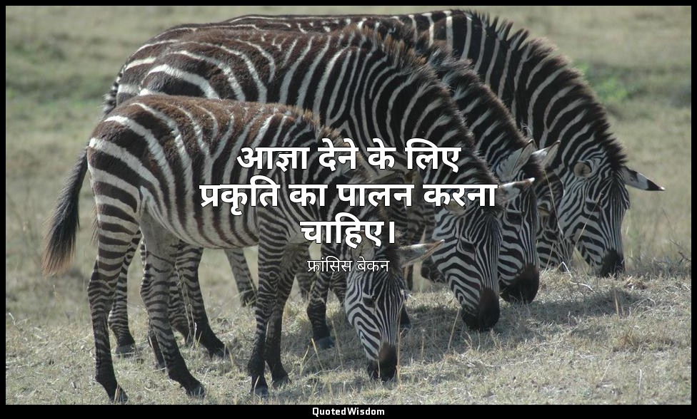 आज्ञा देने के लिए प्रकृति का पालन करना चाहिए। — फ्रांसिस बेकन