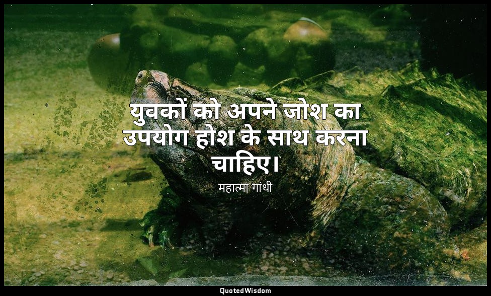 युवकों को अपने जोश का उपयोग होश के साथ करना चाहिए। — महात्मा गांधी