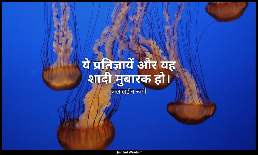 ये प्रतिज्ञायें और यह शादी मुबारक हो। — जलालुद्दीन रूमी
