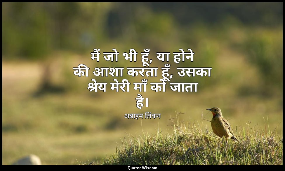 मैं जो भी हूँ, या होने की आशा करता हूँ, उसका श्रेय मेरी माँ को जाता है। — अब्राहम लिंकन