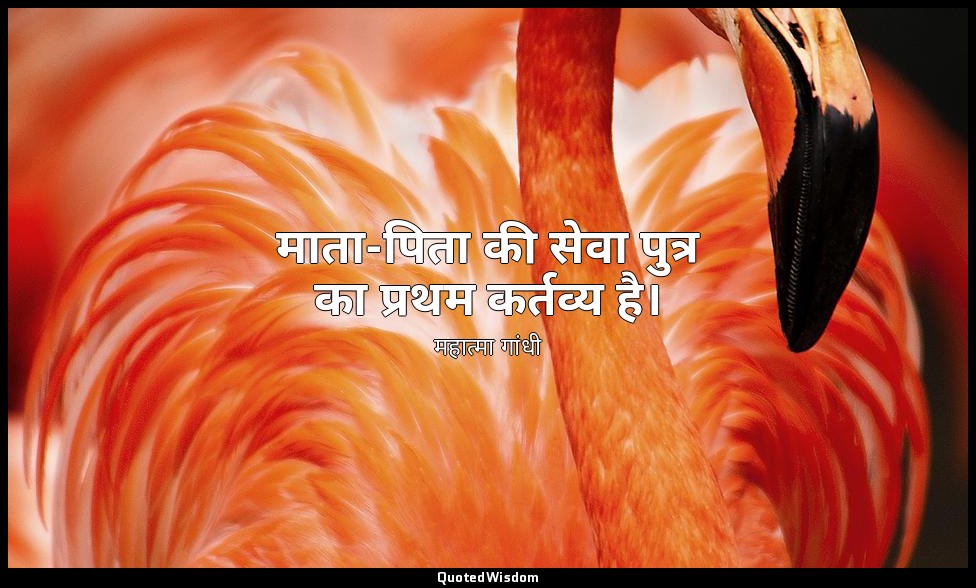 माता-पिता की सेवा पुत्र का प्रथम कर्तव्य है। — महात्मा गांधी