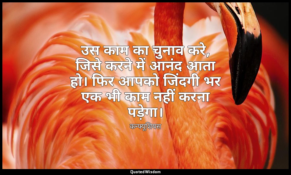 उस काम का चुनाव करे, जिसे करने में आनंद आता हो। फिर आपको जिंदगी भर एक भी काम नही — कन्फ्यूशियस