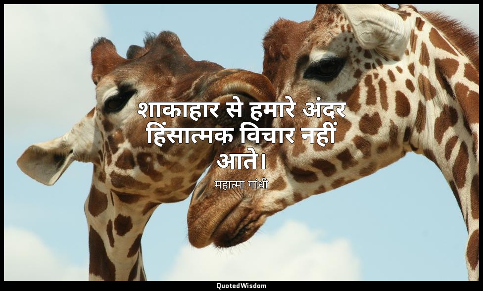 शाकाहार से हमारे अंदर हिंसात्मक विचार नहीं आते। — महात्मा गांधी
