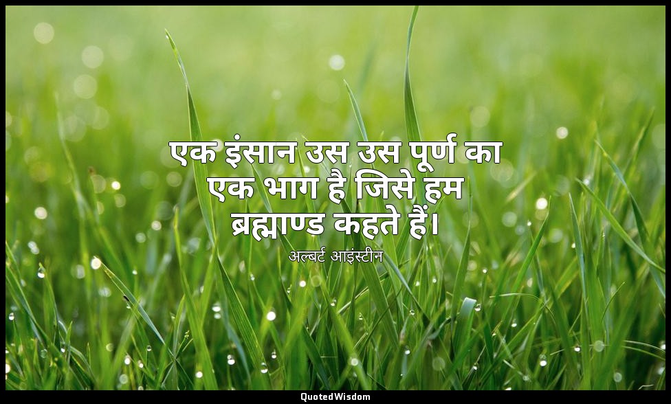 एक इंसान उस उस पूर्ण का एक भाग है जिसे हम ब्रह्माण्ड कहते हैं। — अल्बर्ट आइंस्टीन