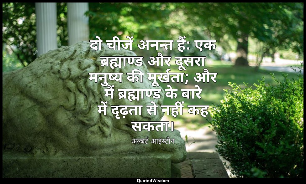 दो चीजें अनन्त हैं: एक ब्रह्माण्ड और दूसरा मनुष्य की मूर्खता; और मैं ब्रह्माण्ड  — अल्बर्ट आइंस्टीन