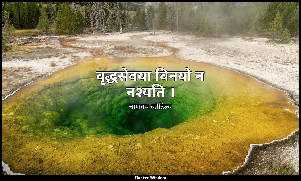 वृद्धसेवया विनयो न नश्यति । — चाणक्य कौटिल्य