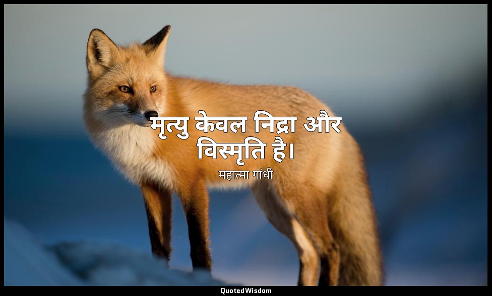 मृत्यु केवल निद्रा और विस्मृति है। — महात्मा गांधी