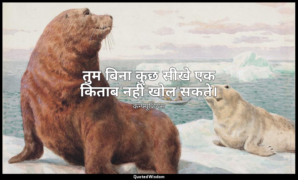 तुम बिना कुछ सीखे एक किताब नहीं खोल सकते। — कन्फ्यूशियस