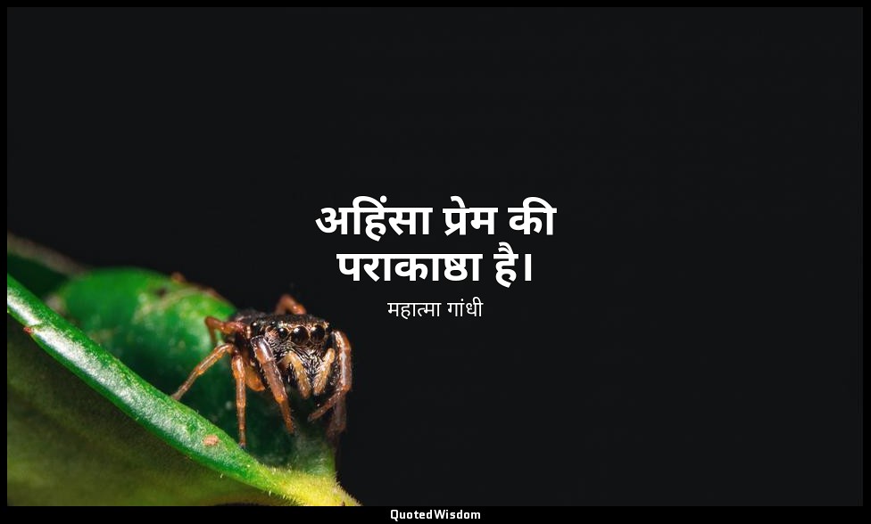 अहिंसा प्रेम की पराकाष्ठा है। — महात्मा गांधी