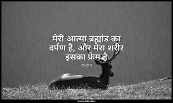 मेरी आत्मा ब्रह्मांड का दर्पण है, और मेरा शरीर इसका फ्रेम है — वोल्टेयर