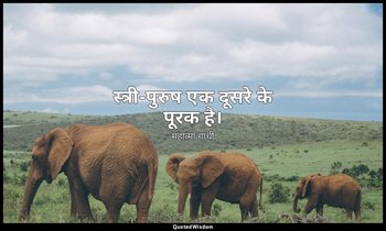 स्त्री-पुरुष एक दूसरे के पूरक है। — महात्मा गांधी