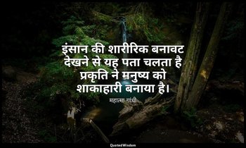 इंसान की शारीरिक बनावट देखने से यह पता चलता है प्रकृति ने मनुष्य को शाकाहारी बना — महात्मा गांधी