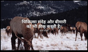 चिकित्सा संदेह और बीमारी को भी ठीक करती है। — कार्ल मार्क्स