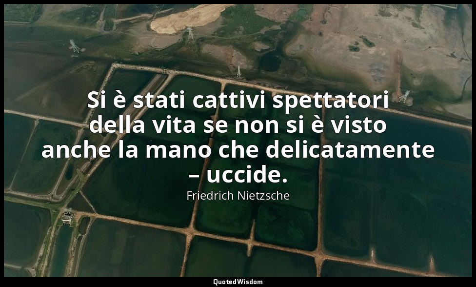 Si è stati cattivi spettatori della vita se non si è visto anche la mano che del — Friedrich Nietzsche
