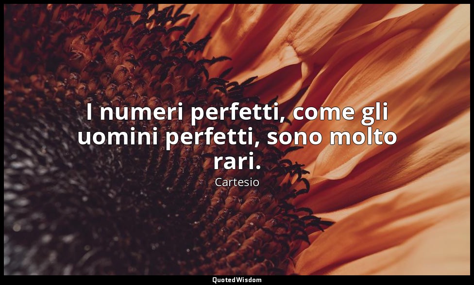 I numeri perfetti, come gli uomini perfetti, sono molto rari. — Cartesio