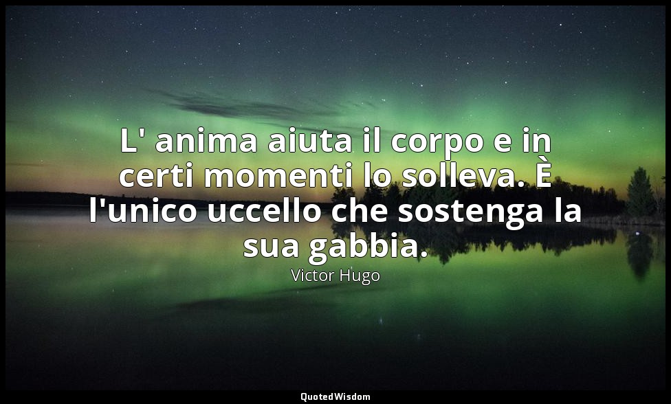 L' anima aiuta il corpo e in certi momenti lo solleva. È l'unico uccello che sos — Victor Hugo