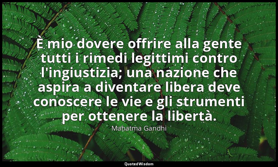 È mio dovere offrire alla gente tutti i rimedi legittimi contro l'ingiustizia; u — Mahatma Gandhi