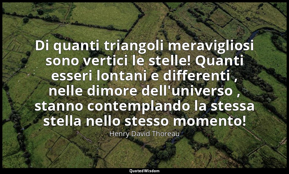 Di quanti triangoli meravigliosi sono vertici le stelle! Quanti esseri lontani e — Henry David Thoreau