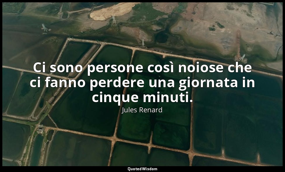 Ci sono persone così noiose che ci fanno perdere una giornata in cinque minuti.  — Jules Renard