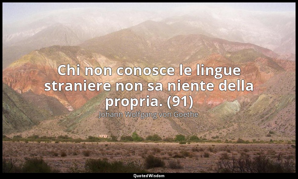 Chi non conosce le lingue straniere non sa niente della propria. (91) — Johann Wolfgang von Goethe