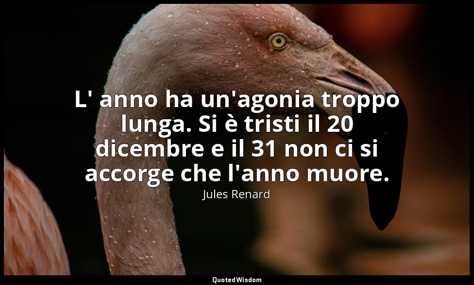 L' anno ha un'agonia troppo lunga. Si è tristi il 20 dicembre e il 31 non ci si  — Jules Renard