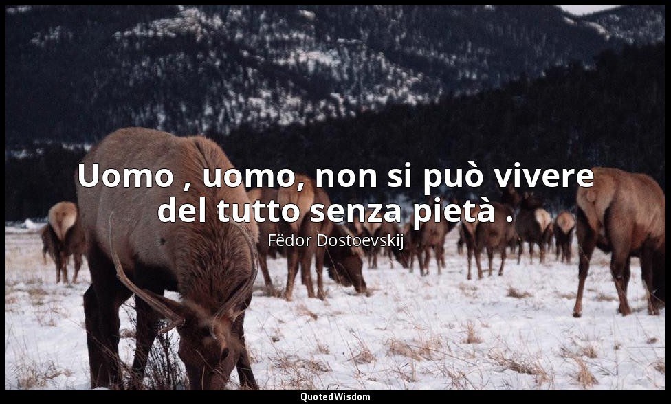 Uomo , uomo, non si può vivere del tutto senza pietà . — Fëdor Dostoevskij